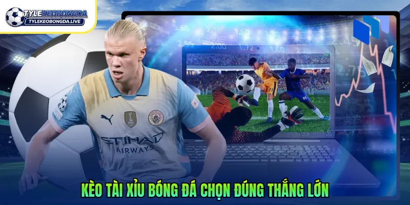 Kèo Tài Xỉu Bóng Đá Hiệu Quả Cho Người Mới 2026 1 Kèo tài xỉu bóng đá – chọn đúng thắng lớn