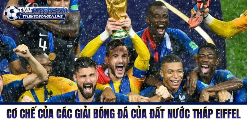 Bóng Đá Pháp - Sức Mạnh Và Bản Lĩnh Của Một Quân Vương 2 Cơ chế của các giải bóng của đất nước tháp Eiffel
