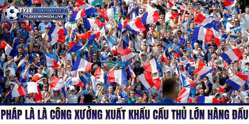 Bóng Đá Pháp - Sức Mạnh Và Bản Lĩnh Của Một Quân Vương 4 Xứ lục lăng là công xưởng xuất khẩu cầu thủ lớn hàng đầu thế giới