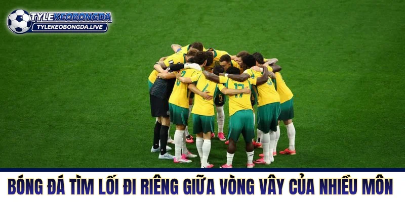 Bóng Đá Úc - Bản Lĩnh Chuột Túi Và Sự Trỗi Dậy Đầy Khát Vọng 4 Bóng đá Úc tìm lối đi riêng giữa vòng vây của nhiều môn khác