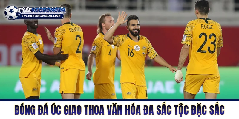 Bóng Đá Úc - Bản Lĩnh Chuột Túi Và Sự Trỗi Dậy Đầy Khát Vọng 1 Bóng đá Úc giao thoa văn hóa đa sắc tộc vô cùng đặc sắc