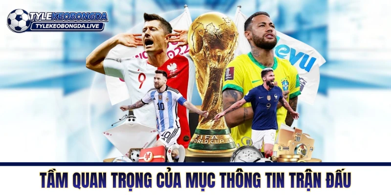 Tầm quan trọng của mục thông tin trận đấu