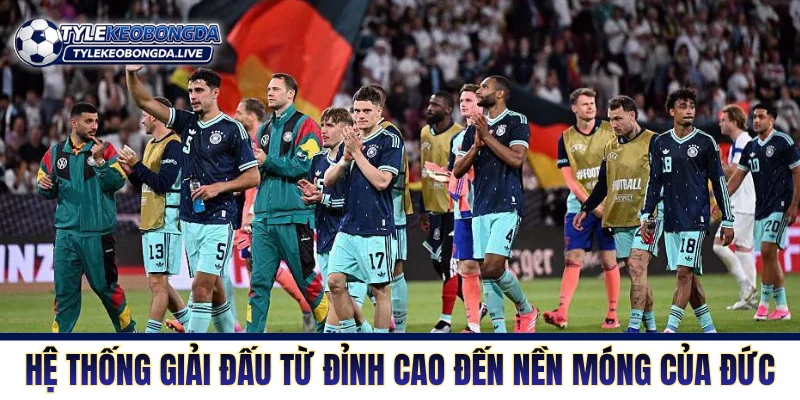 Đức - Bản Lĩnh Và Bản Sắc Bền Vững Hàng Đầu Lục Địa Già 2 Hệ thống giải đấu từ đỉnh cao đến nền móng của Đức