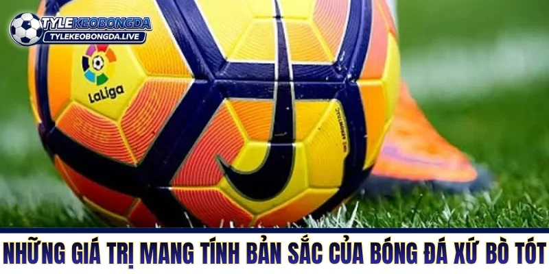 Những giá trị mang tính bản sắc của bóng đá xứ bò tót