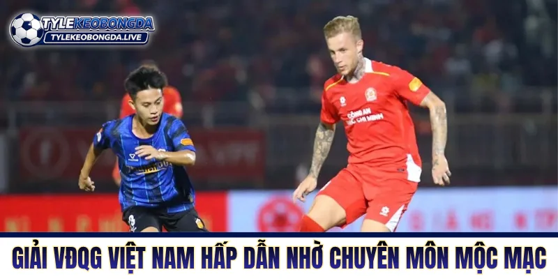 V-League - Sân Chơi Cấp Cao Nhất Đất Nước Hình Chữ S 3 Giải VĐQG Việt Nam hấp dẫn nhờ chuyên môn mộc mạc