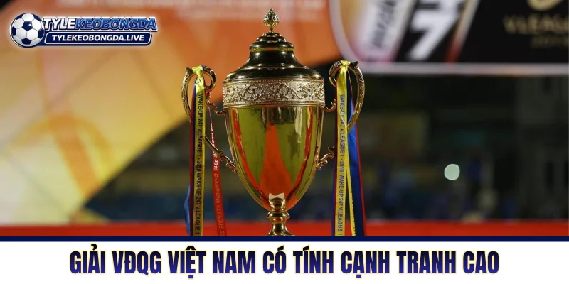 V-League - Sân Chơi Cấp Cao Nhất Đất Nước Hình Chữ S 4 Giải VĐQG Việt Nam có tính cạnh tranh cao với nhiều biến động
