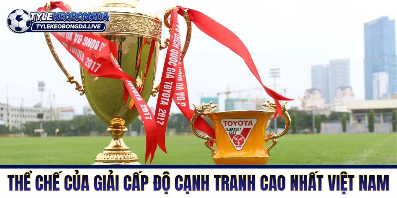 V-League - Sân Chơi Cấp Cao Nhất Đất Nước Hình Chữ S 2 Thể chế của giải cấp độ cạnh tranh cao nhất Việt Nam